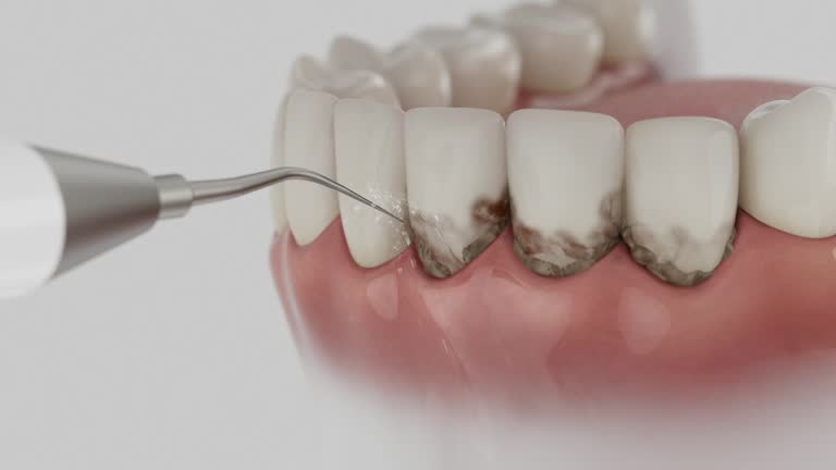 Reliable Dental contractor in Dexter, MI by Dentist Open Now